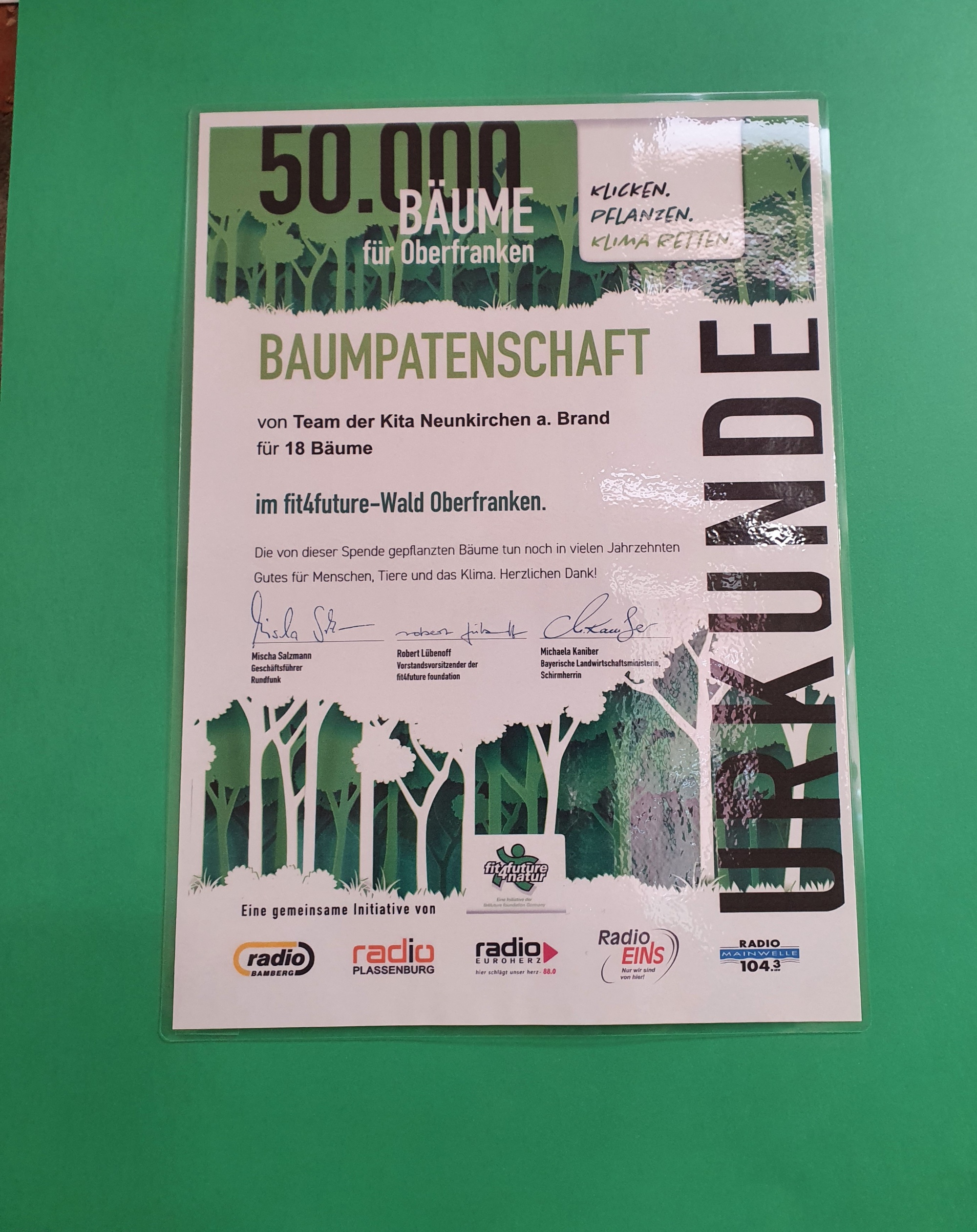 50.Bäume