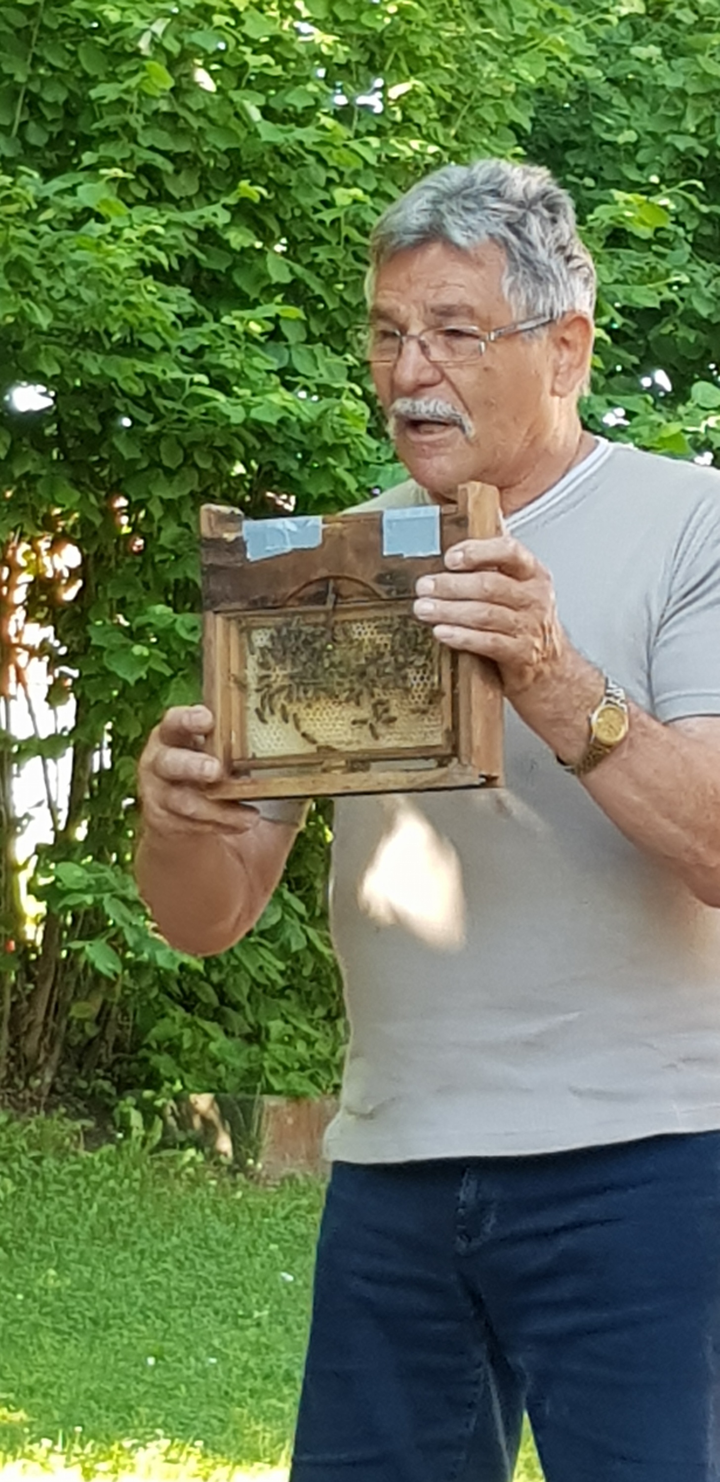 Der Imker bei den 'Bienen'.