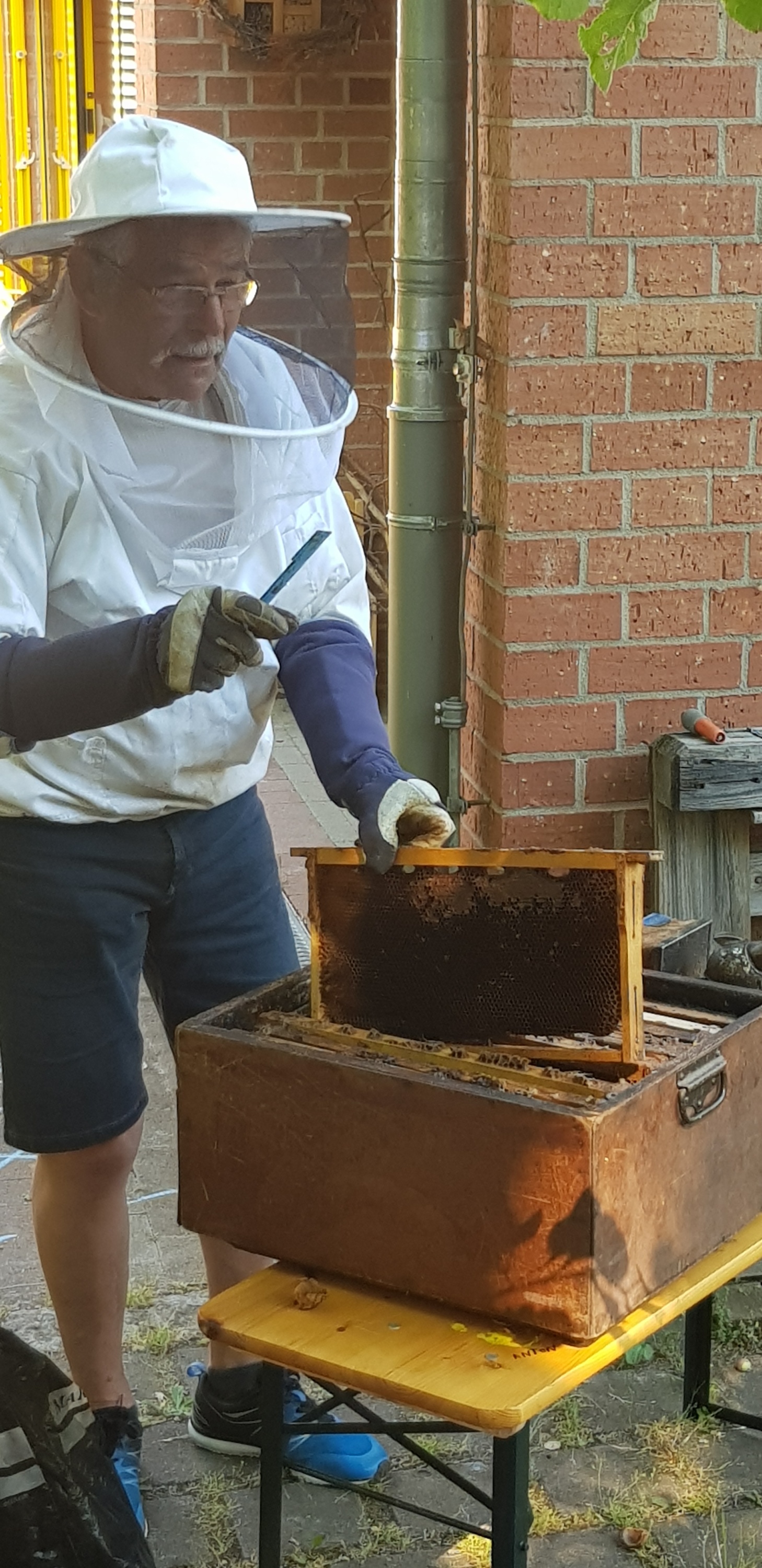 Der Imker bei den 'Bienen'.