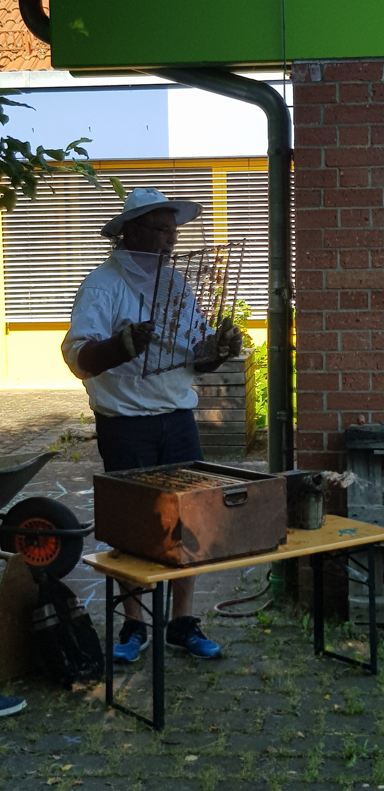 Der Imker bei den 'Bienen'.