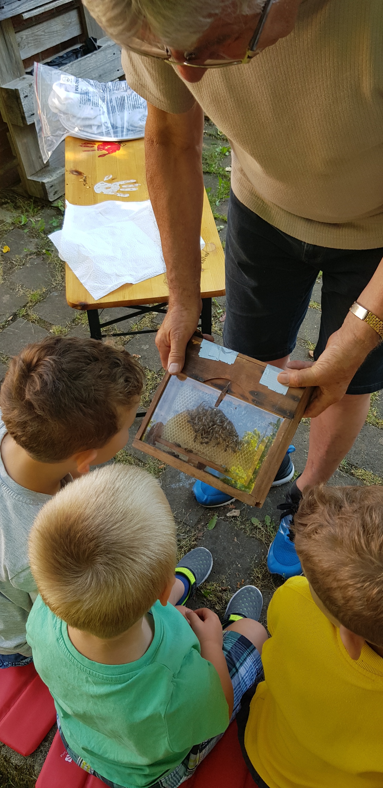 Der Imker bei den 'Bienen'.
