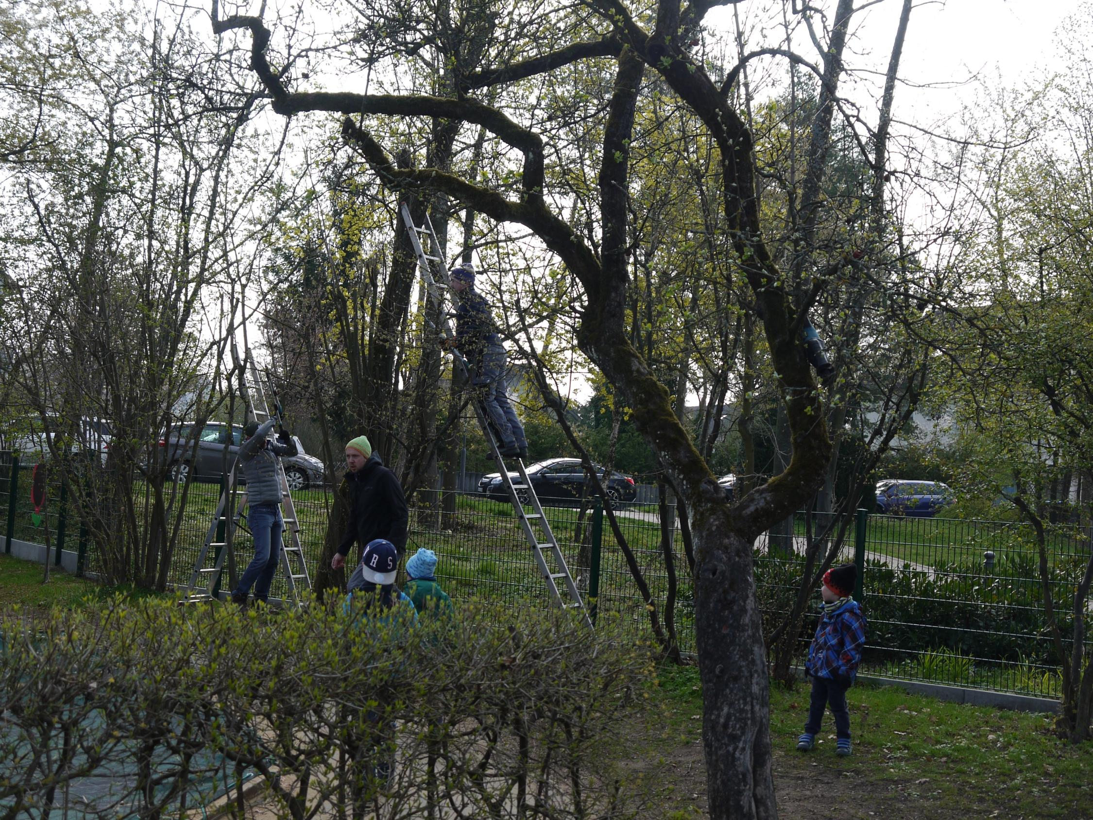 Gartenaktion