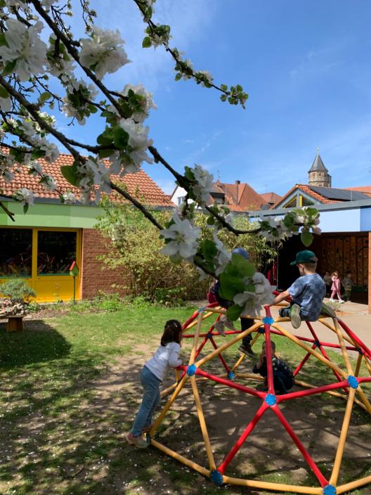Klettergerüst im großen Garten