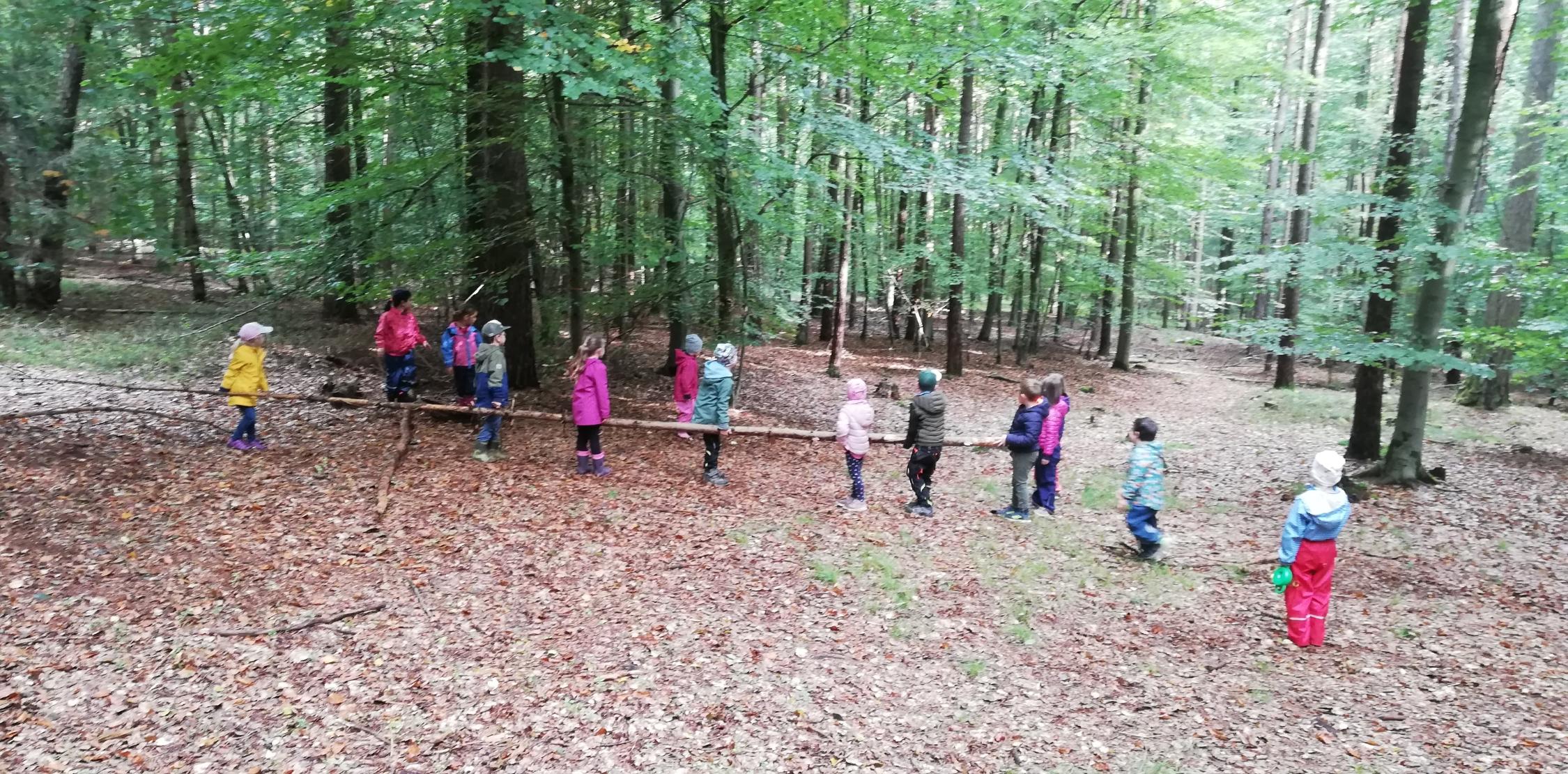 Im Wald