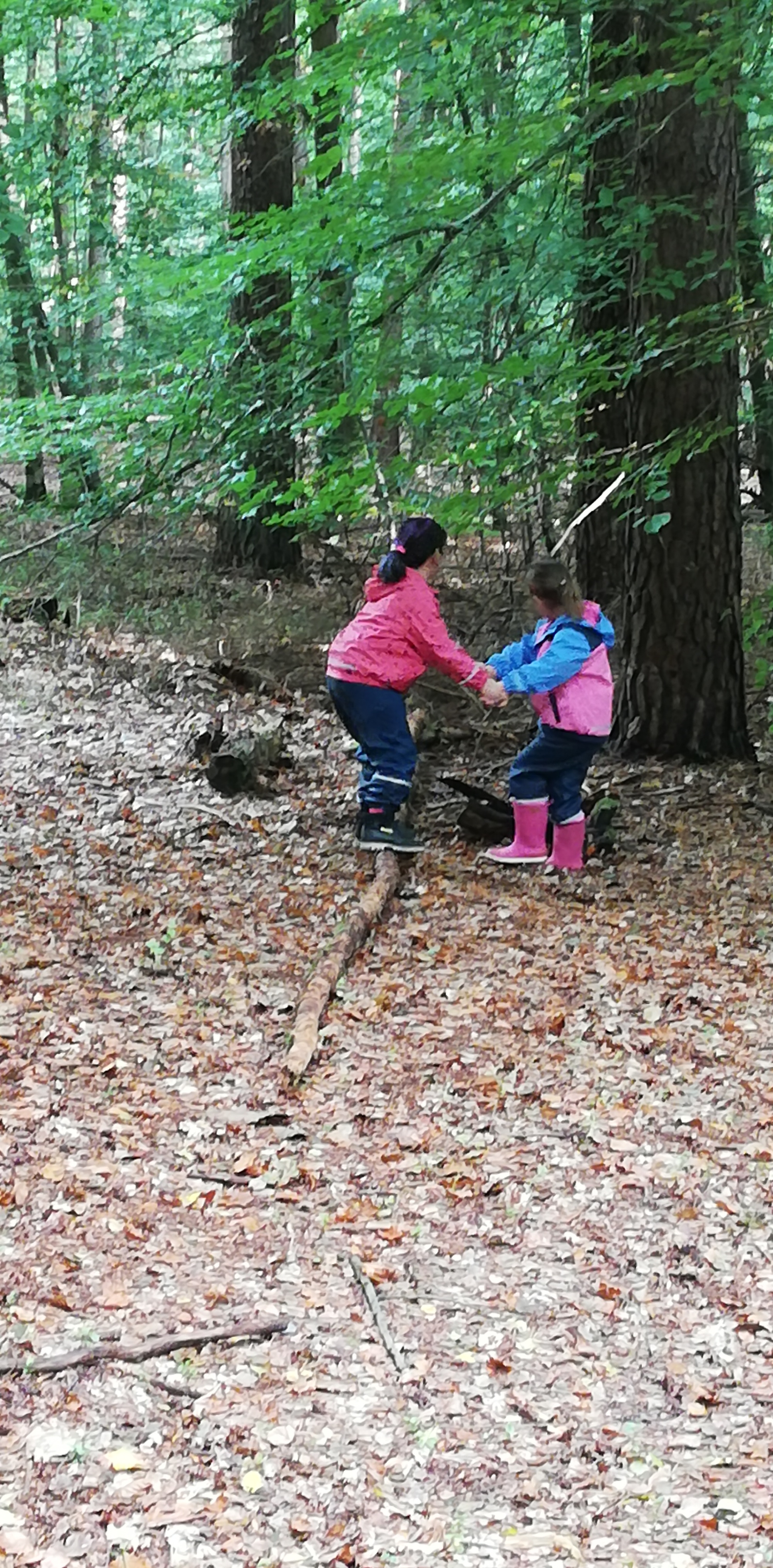 Im Wald