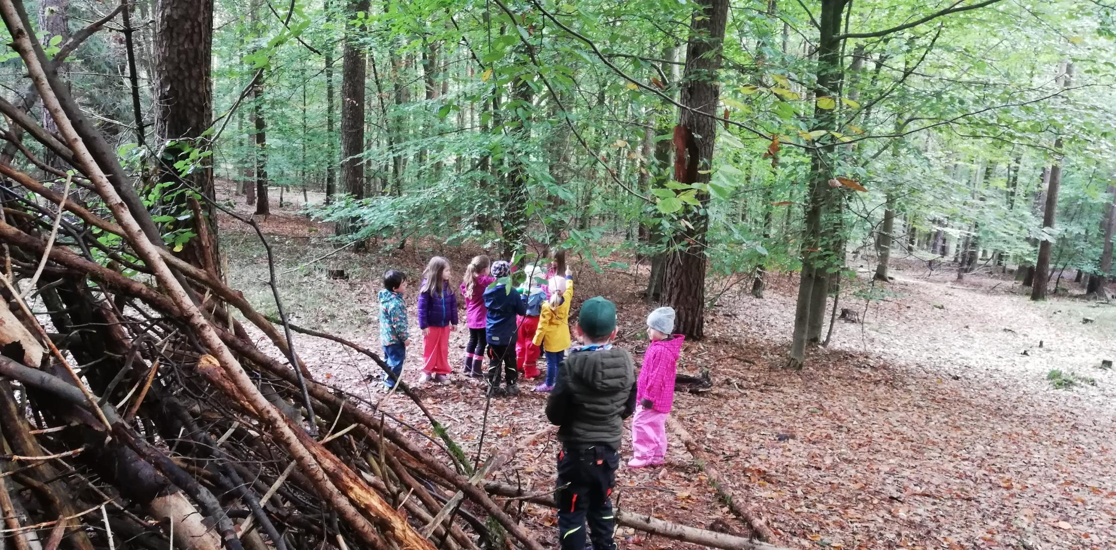 Im Wald
