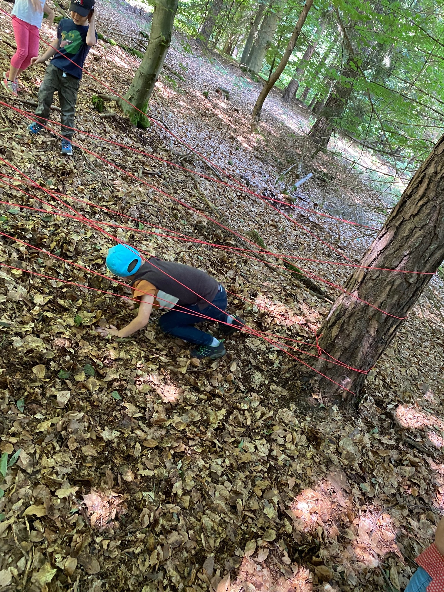 Im Wald