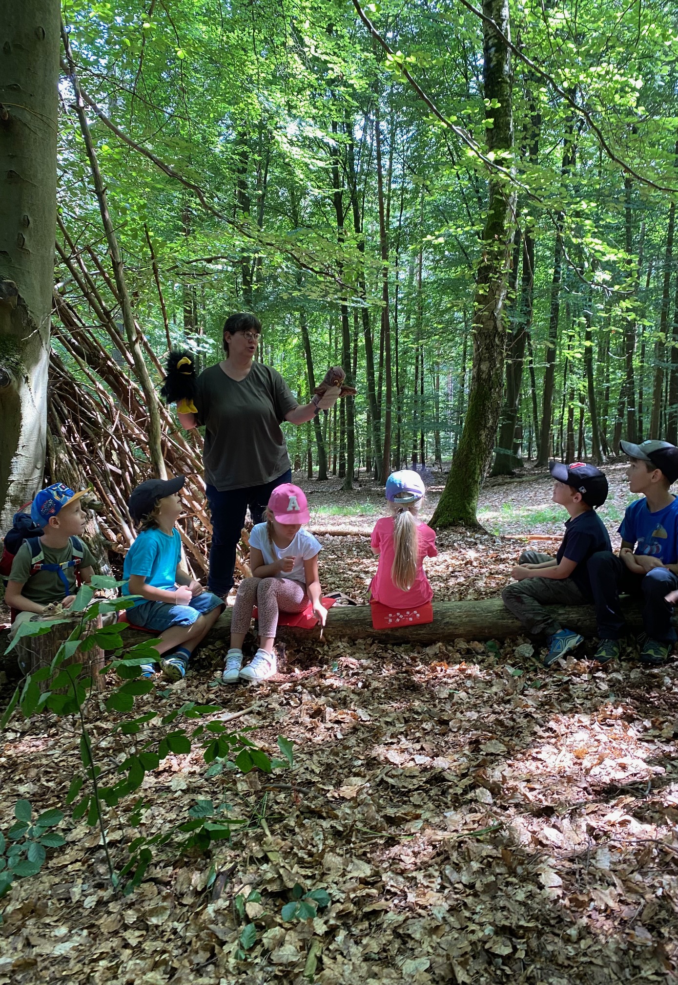 Im Wald
