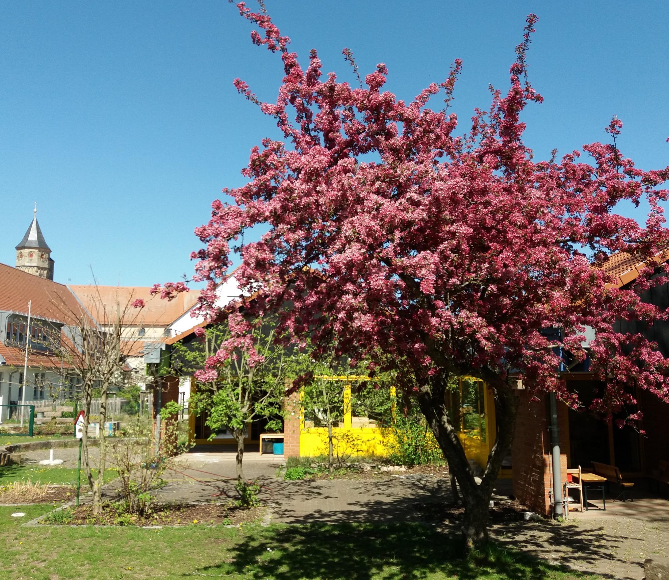 Kiga im Frühling
