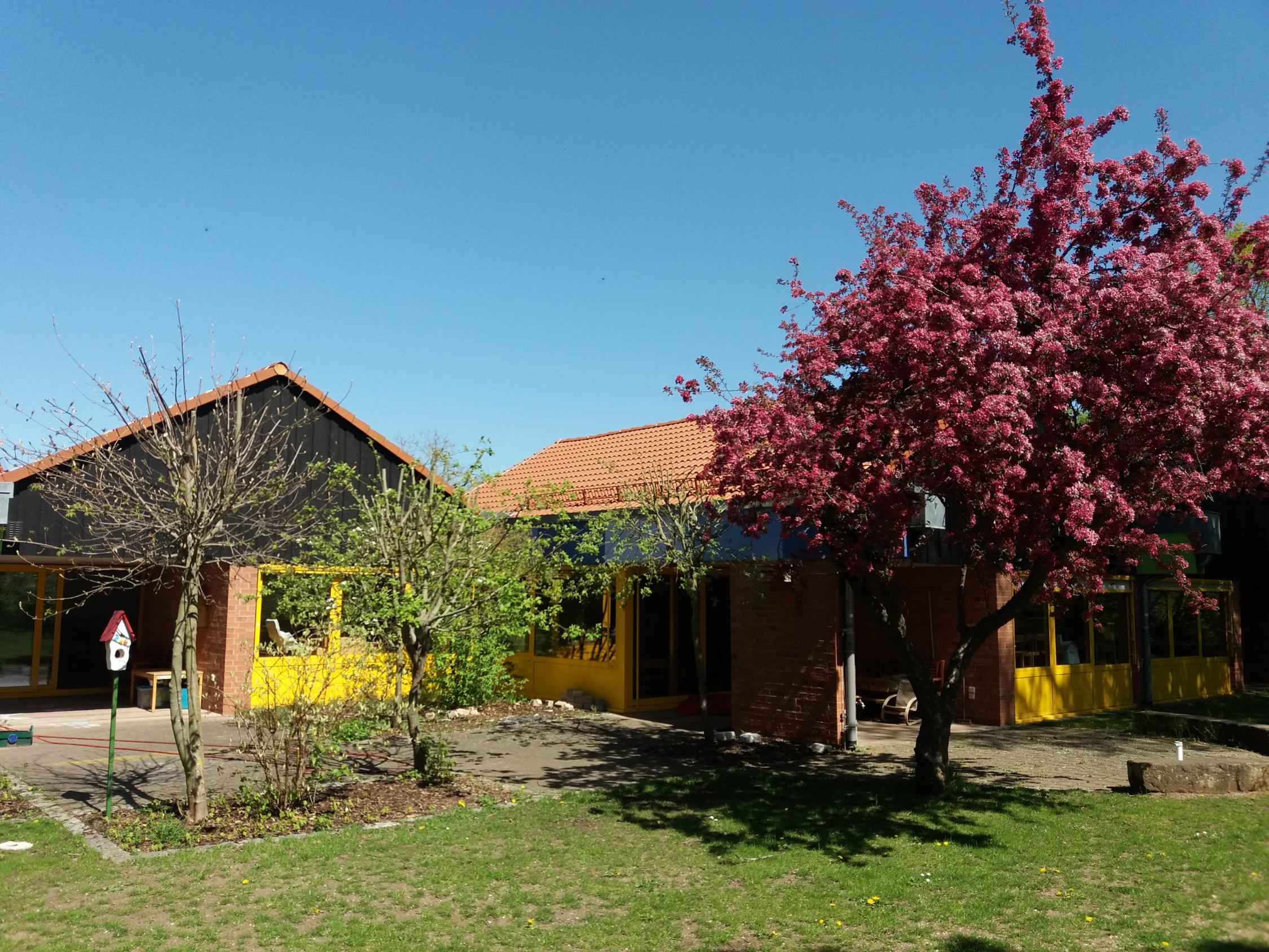 Kindergarten