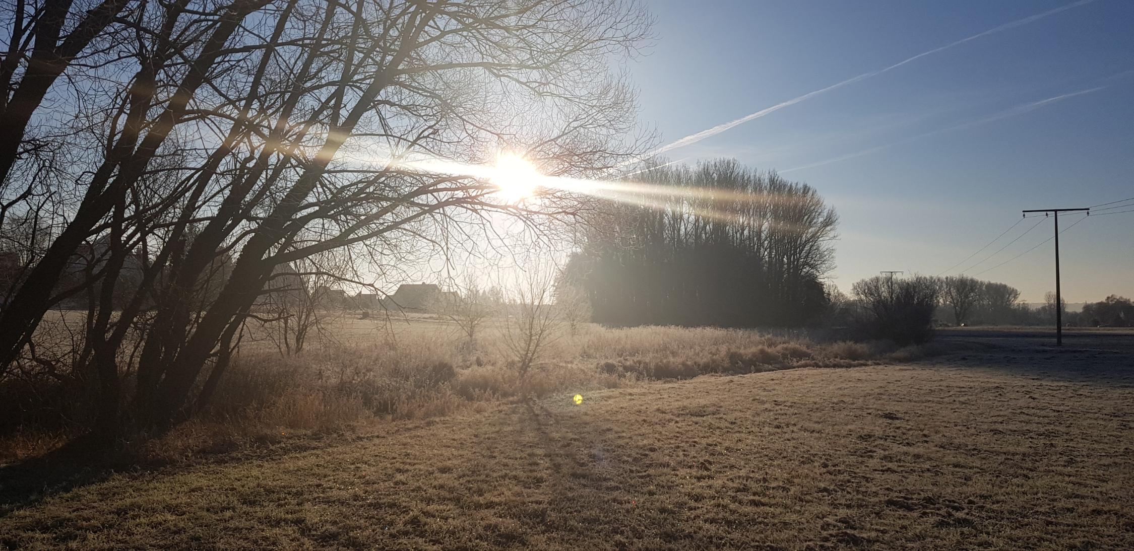 Natur im Winter