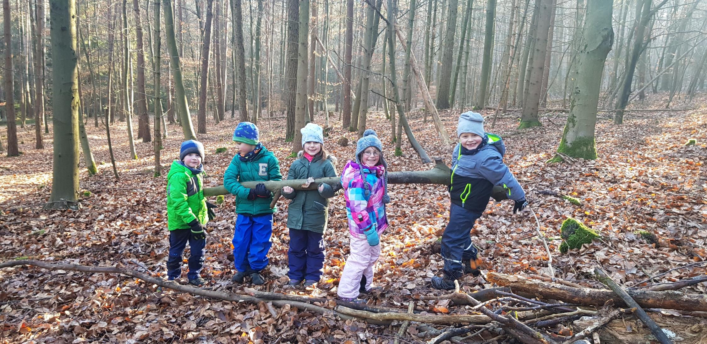 Natur im Winter