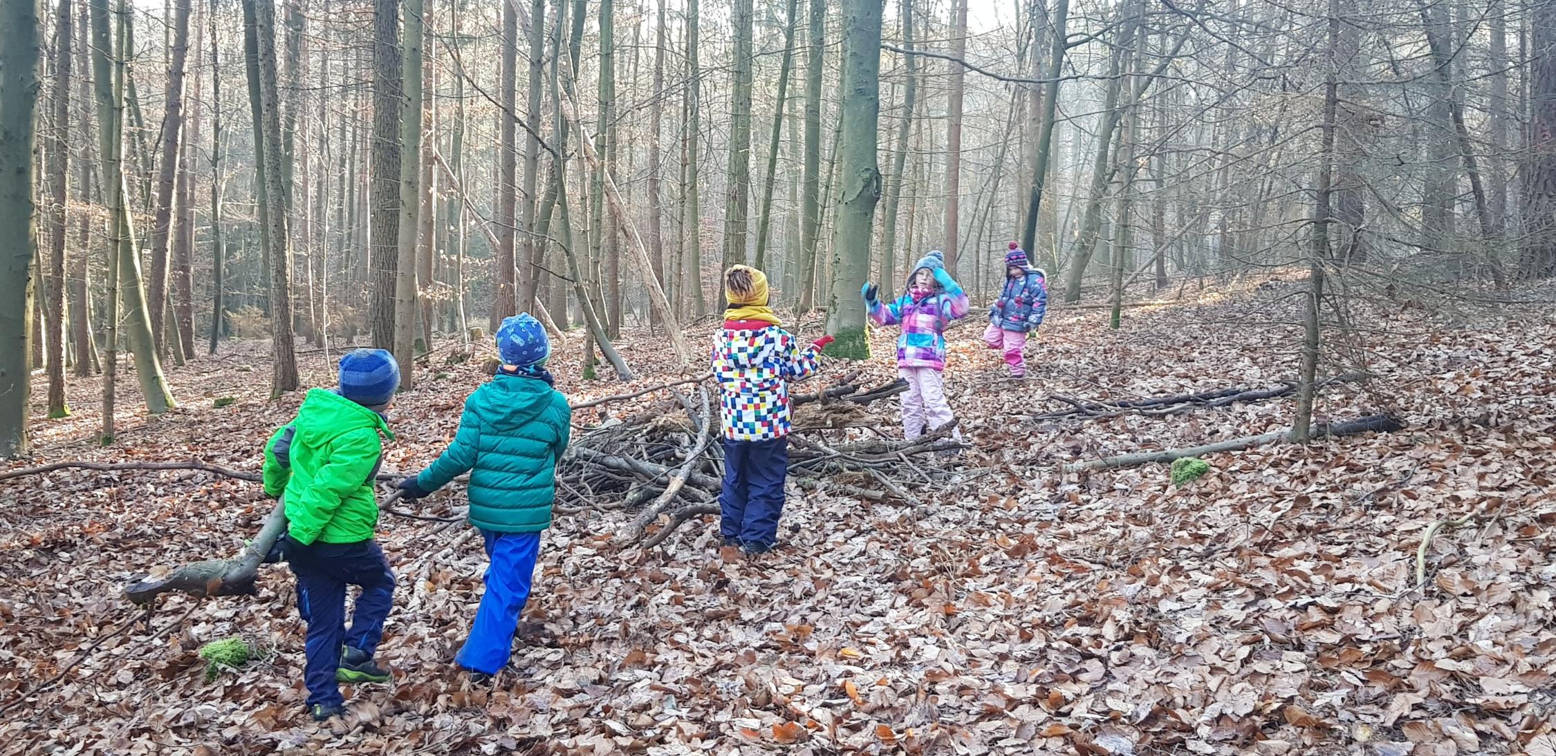 Natur im Winter