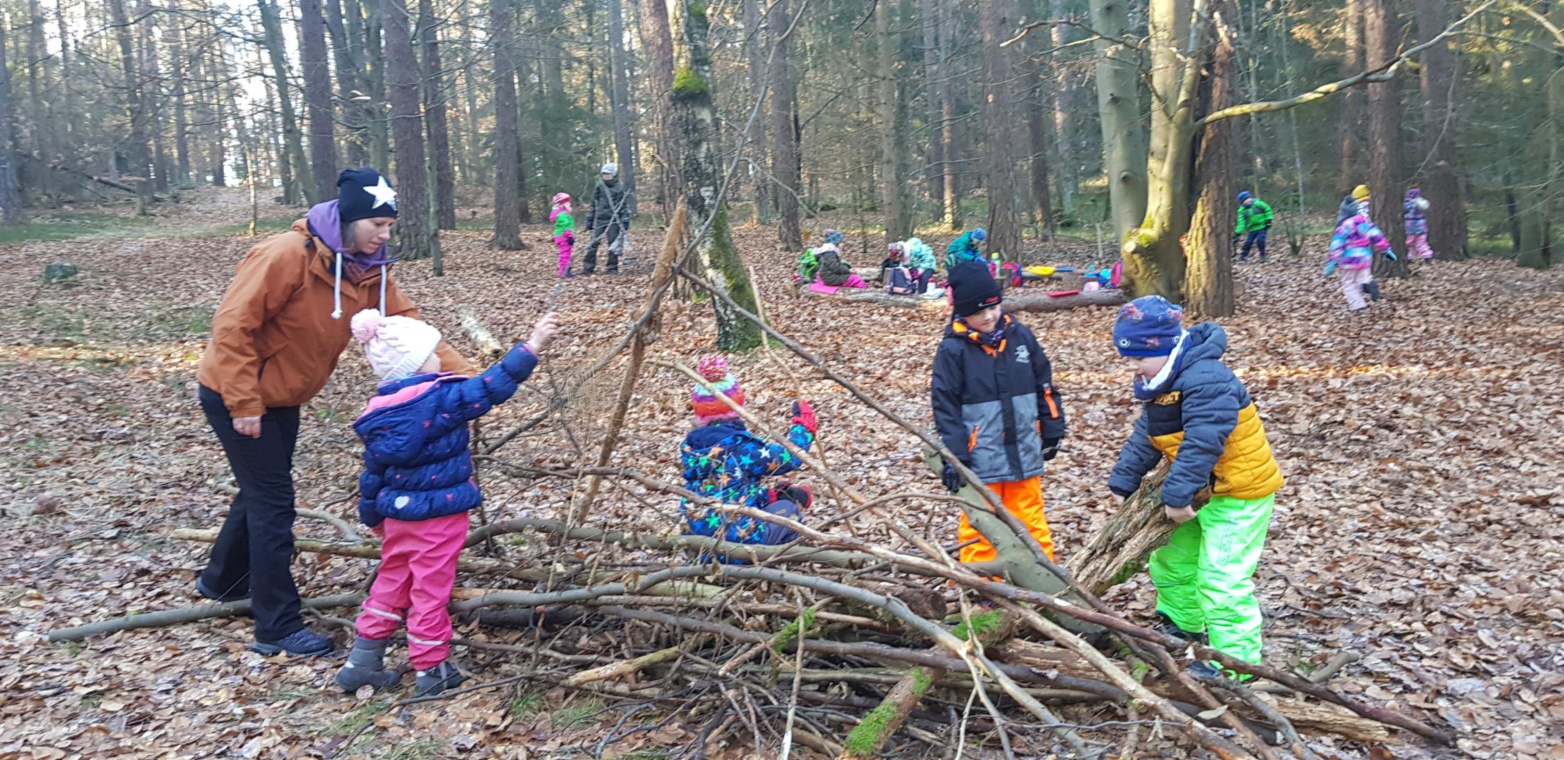 Natur im Winter