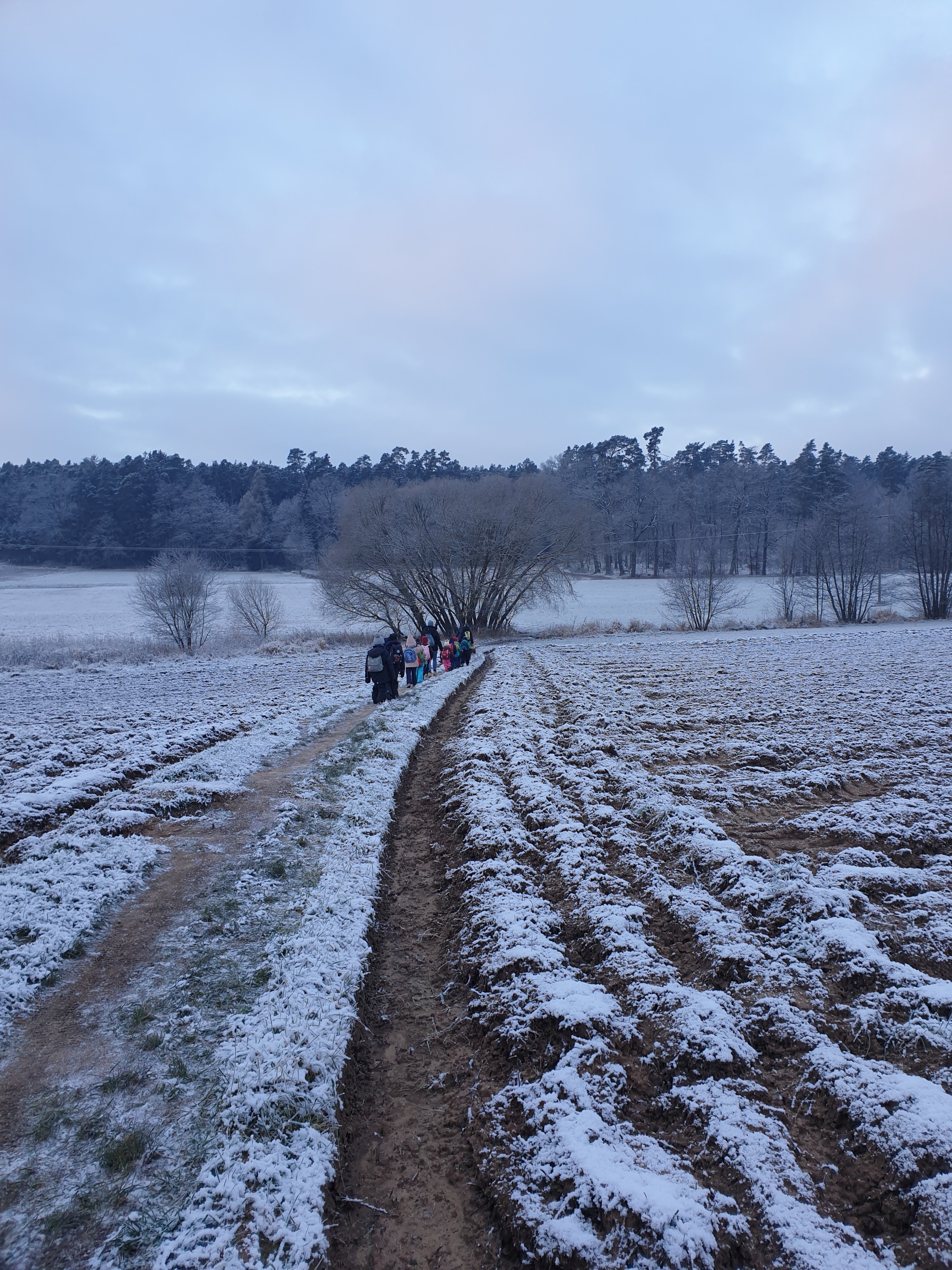 Unser Waldtag