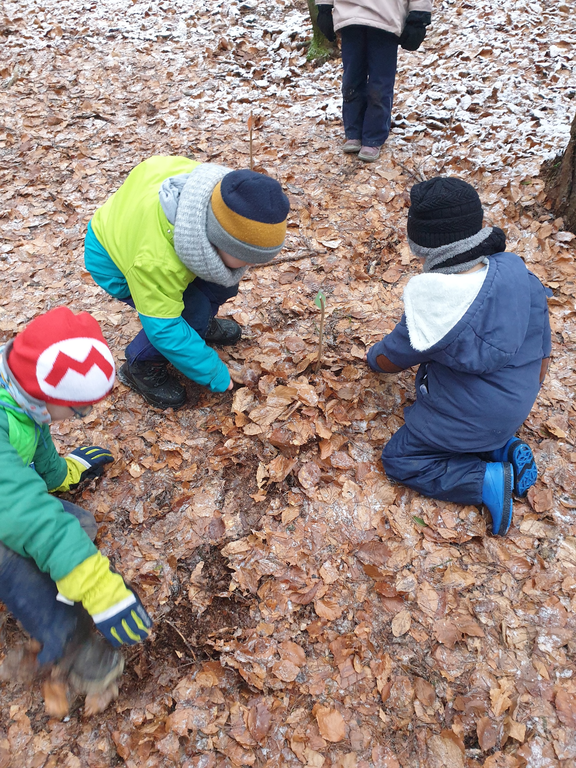 Unser Waldtag