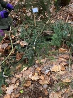 Unser Waldtag