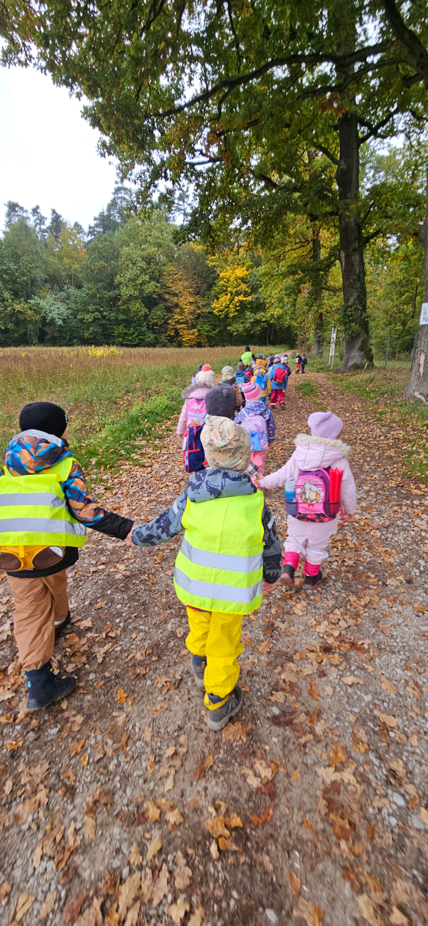 Waldtag