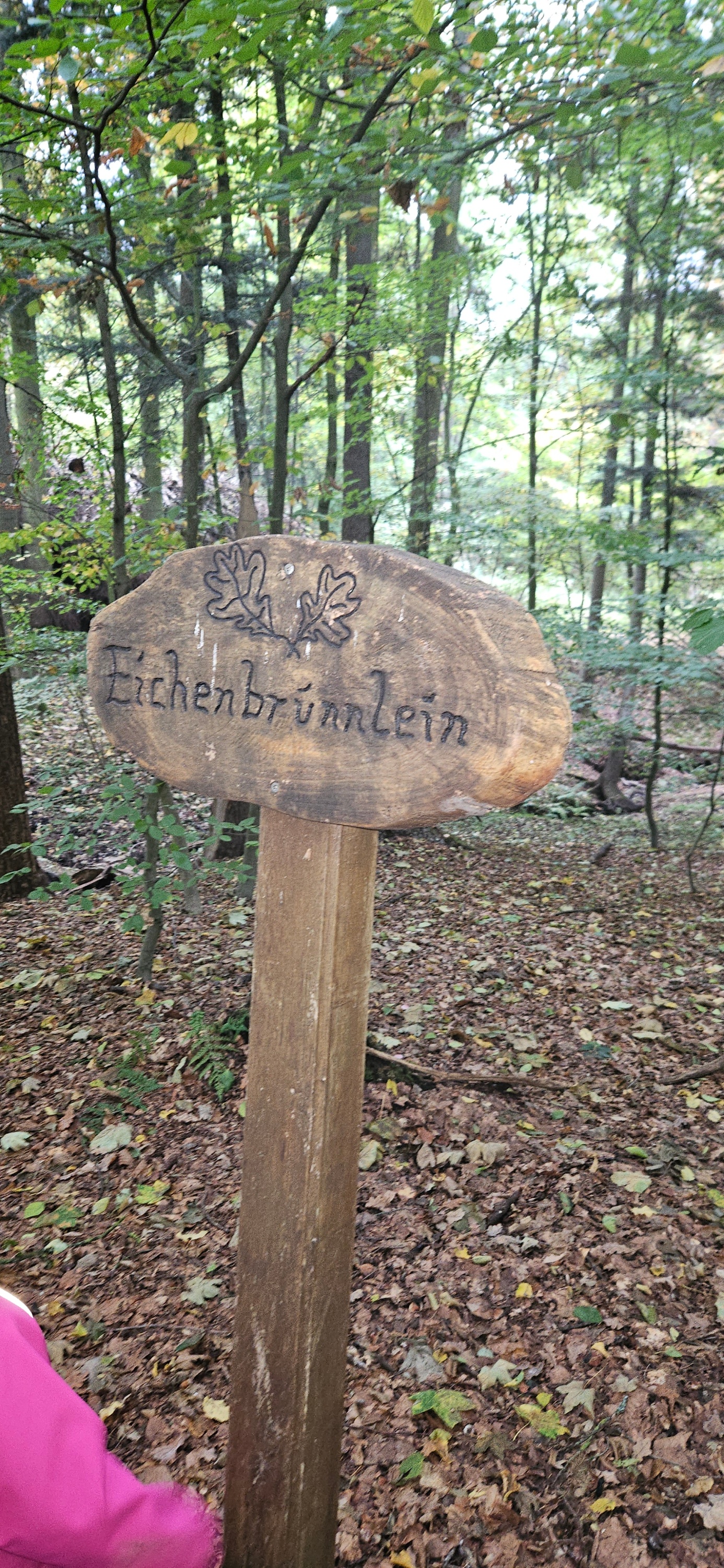 Waldtag