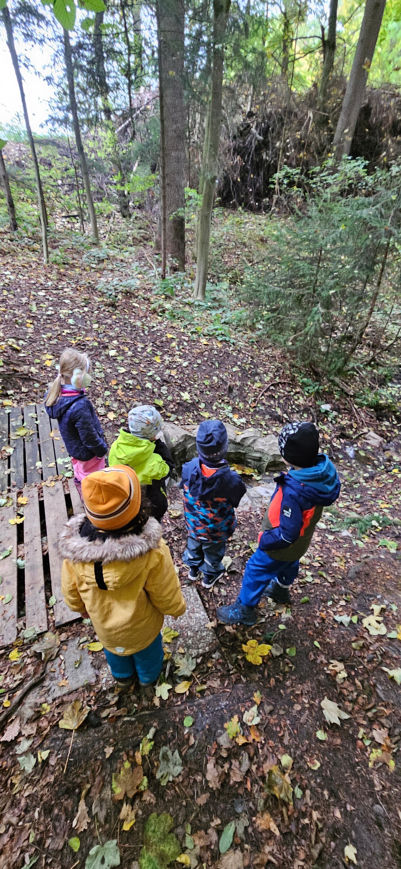 Waldtag
