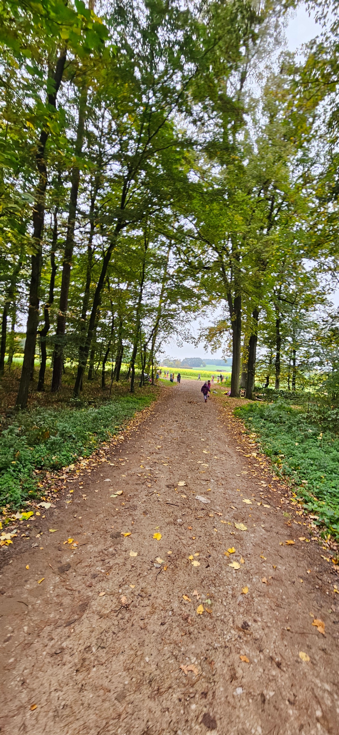 Waldtag