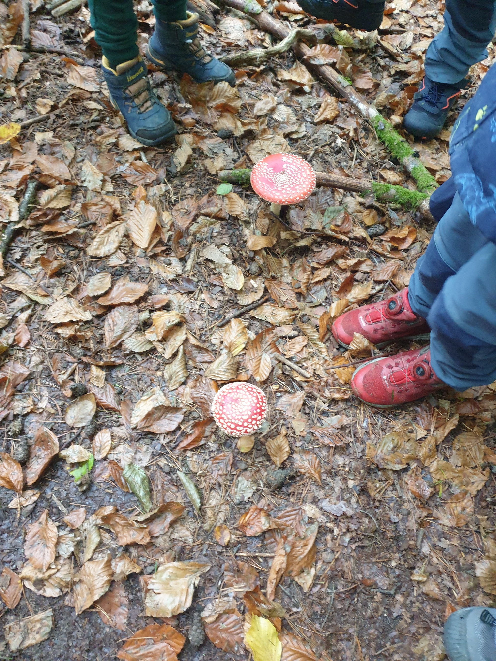 Waldtag