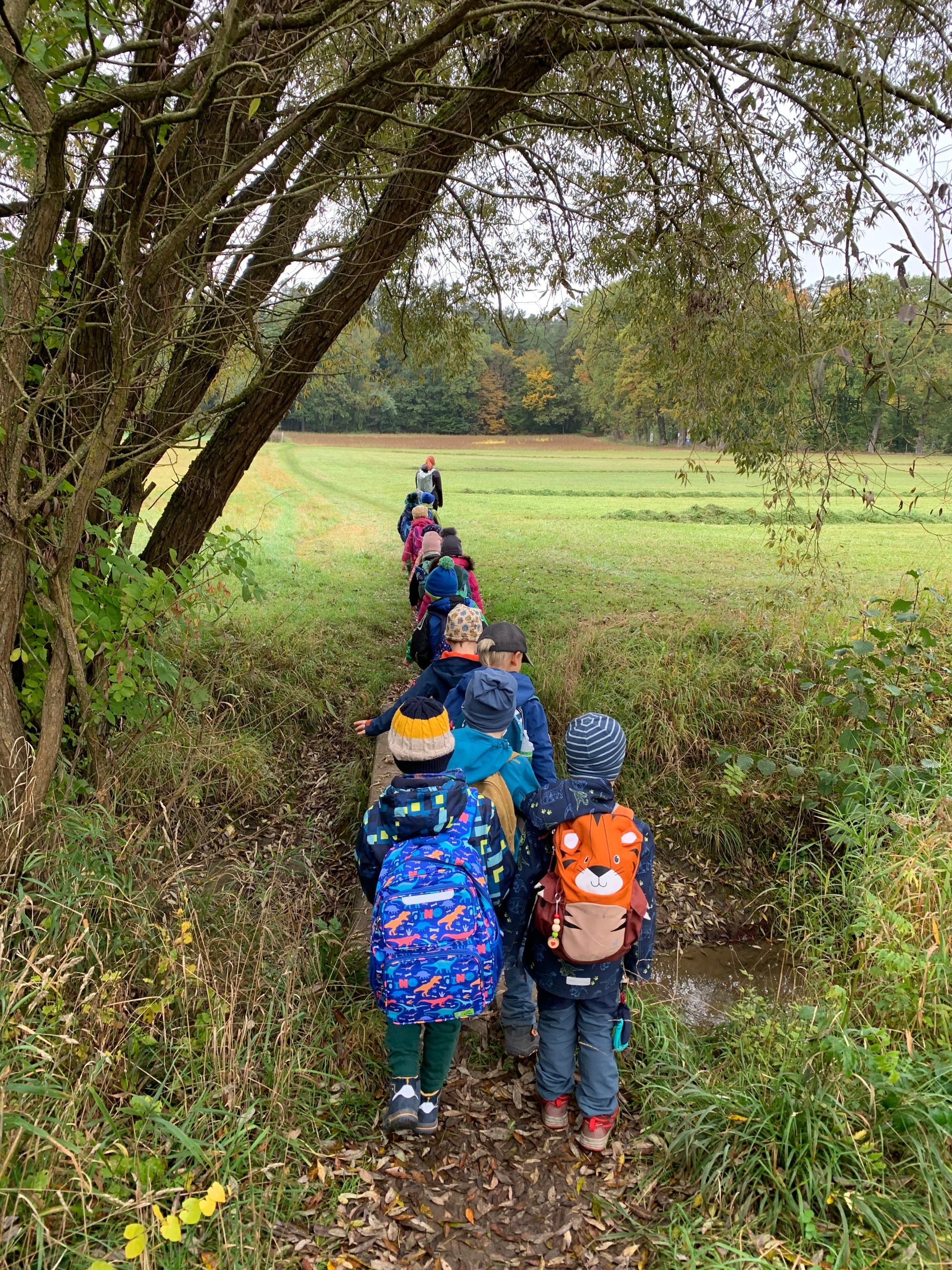 Waldtag