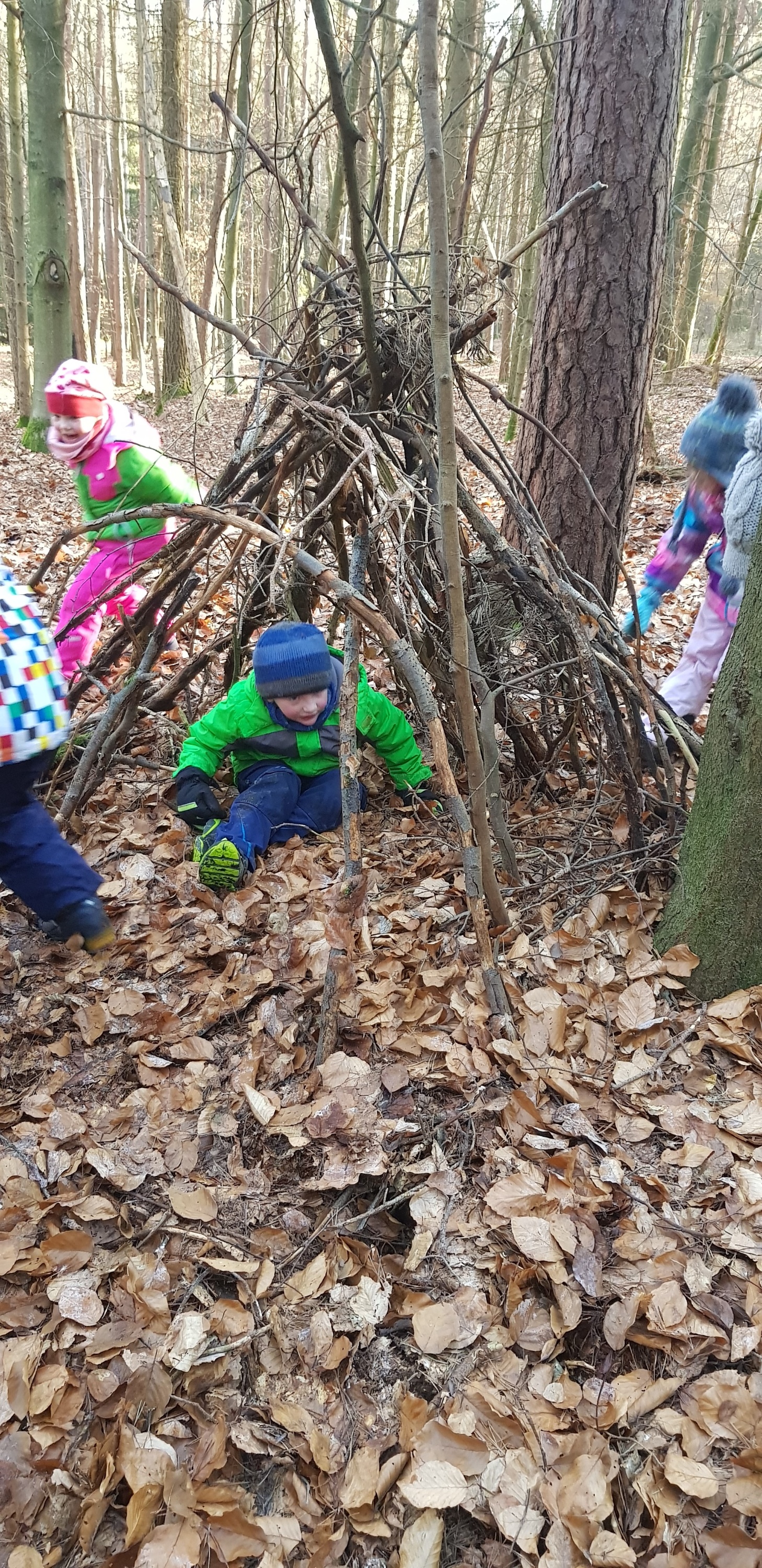 Waldtag