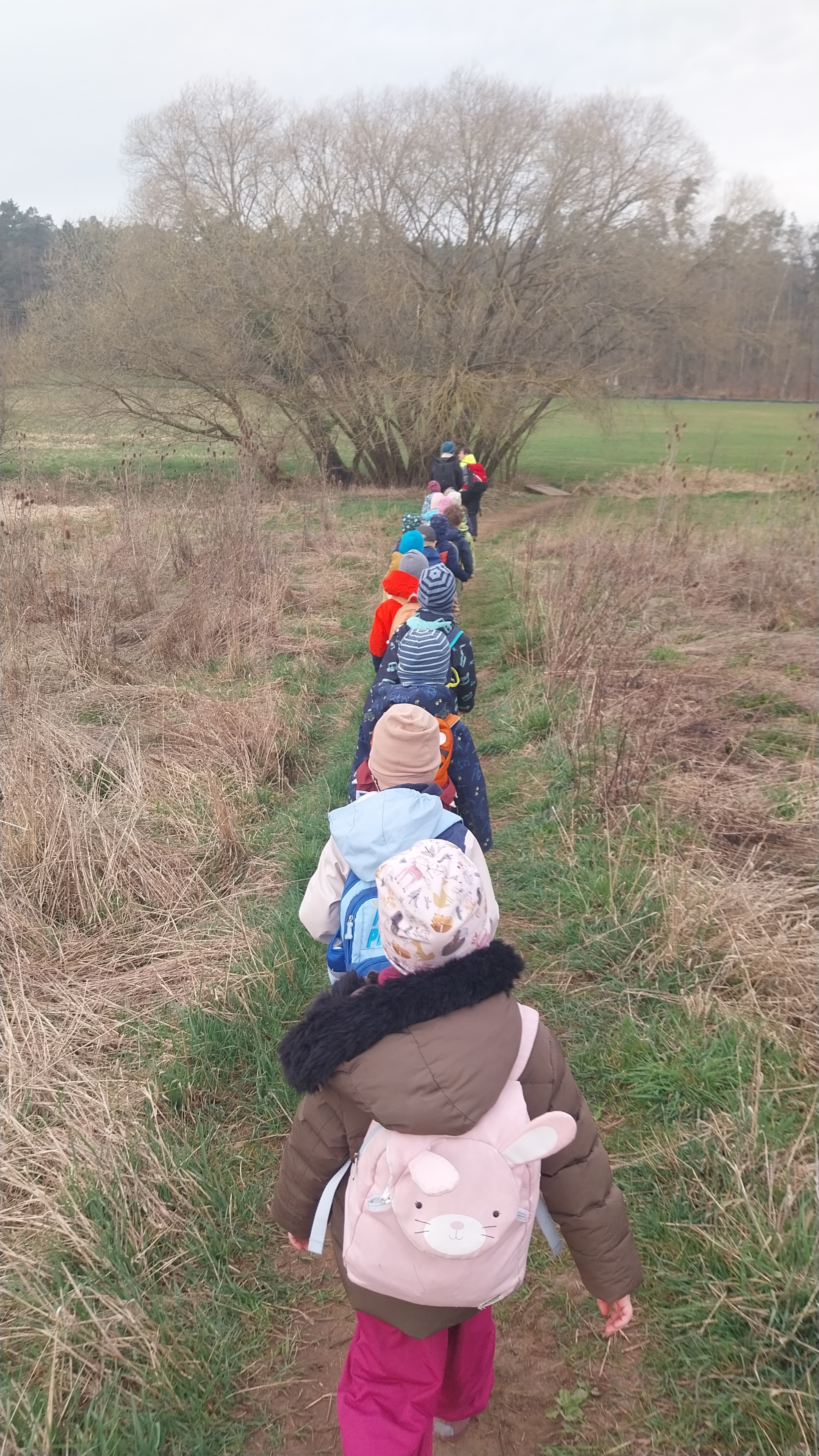 WaldtagFrühling